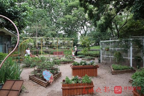 昆明国庆节免费开放公园,国庆节昆明这七大公园好看又好玩