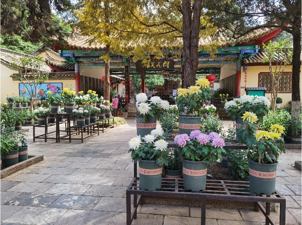 昆明国庆节免费开放公园,国庆节昆明这七大公园好看又好玩