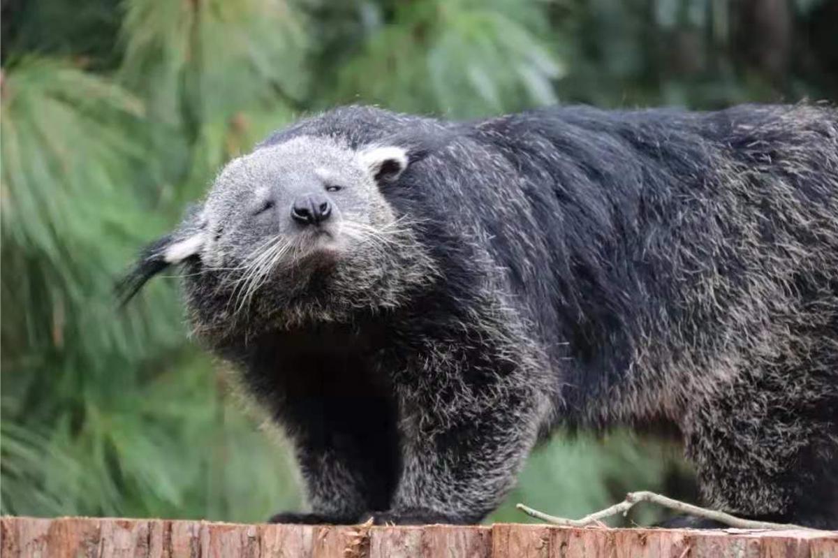 昆明国庆节免费开放公园,国庆节昆明这七大公园好看又好玩
