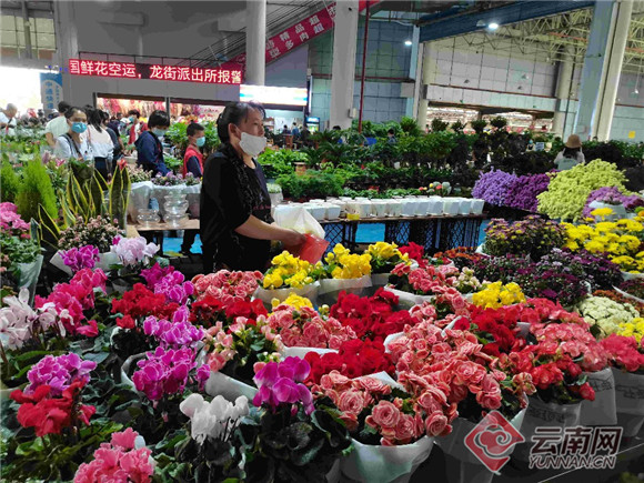 昆明斗南花卉市场亚洲最大,昆明斗南花卉市场是亚洲最大的吗