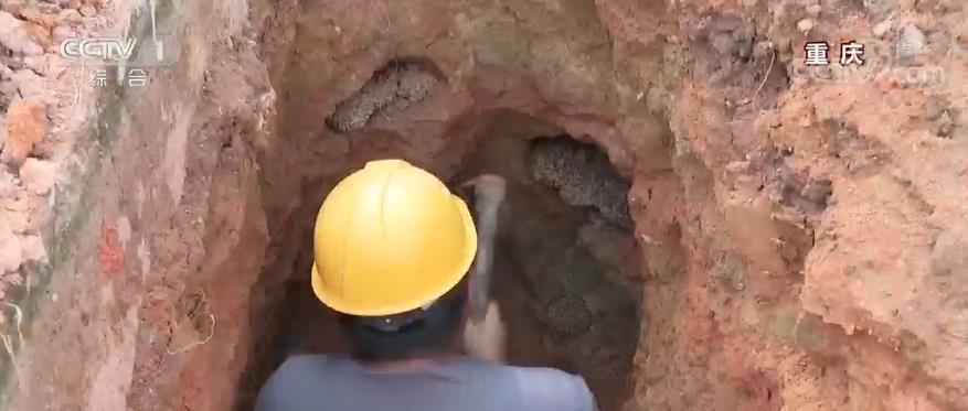 致那些还在坚守岗位最可爱的人,致坚守一线岗位可爱的人