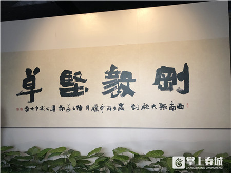 cop15春城之约七彩云南,cop15相约春城