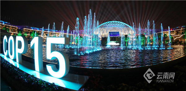 昆明cop15滇池国际会展中心游玩,昆明滇池cop15夜景