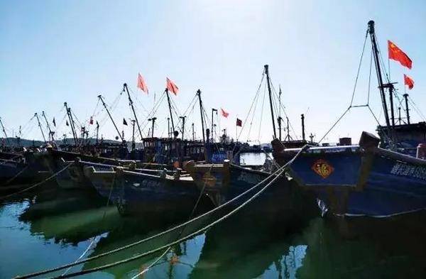 多大的厂房可以做扇贝加工厂,扇贝深加工