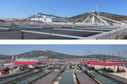 多大的厂房可以做扇贝加工厂,扇贝深加工