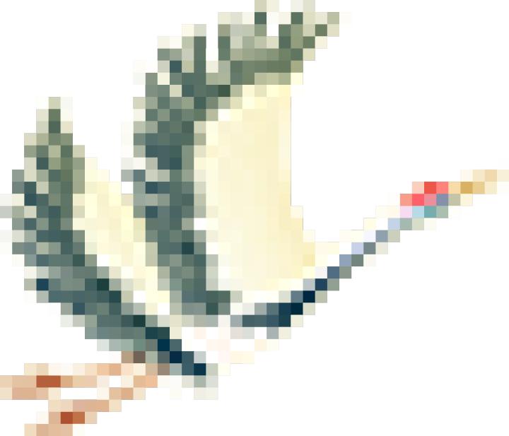 重阳爬山观景祈福,重阳节登山去哪玩好