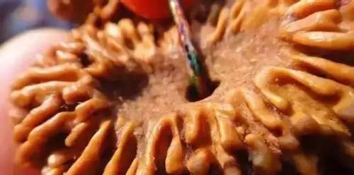 塑料做的文玩是真的吗,文玩白塑料如何辨别真假