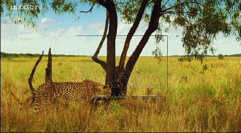 韩国人眼中中韩军事对抗,韩国人眼中的朝鲜战争