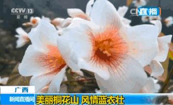 忆清明祖辈给我们留下了什么？