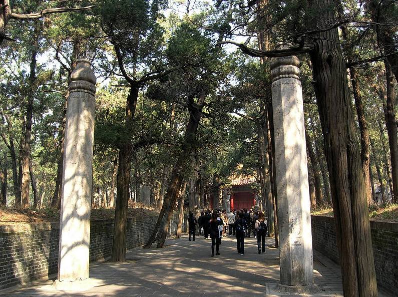 为何“山东孔林”上不落鸦，下不招蛇鼠？真相是什么？