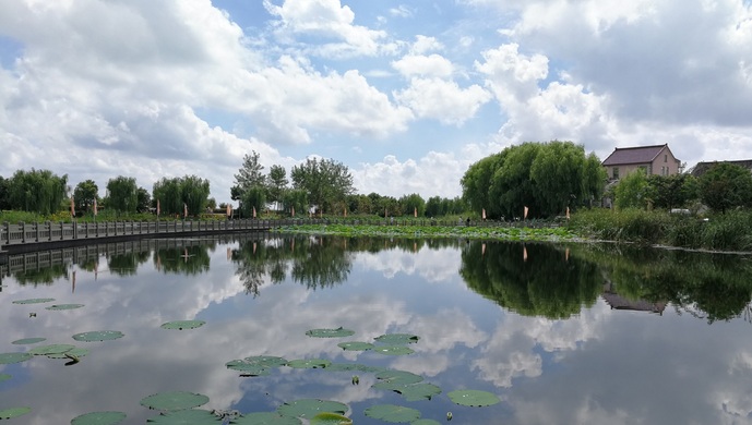 上海一体化青浦区,长三角一体化示范区青浦区