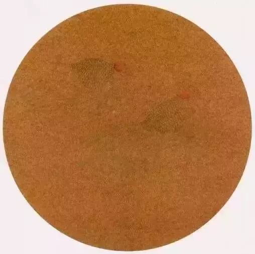 工笔金鱼线稿100例,工笔金鱼图片大全大图