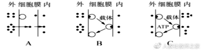 苏教版生物高中必修一课程,苏教版高中生物必修一的全套视频