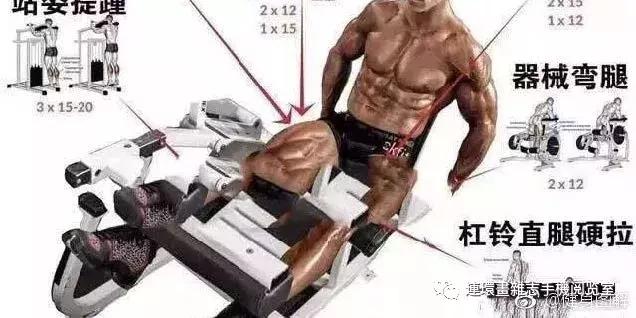 健身看图识物,健身看网上的教学视频