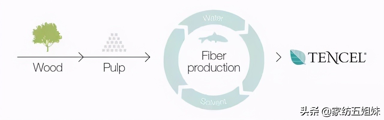 怎么判断是否是真天丝,怎么判断是不是真的天丝