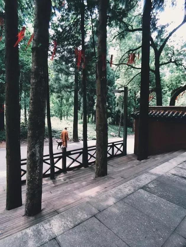 佛了！魔都周边9座「禁欲系寺院」，美到想出家！