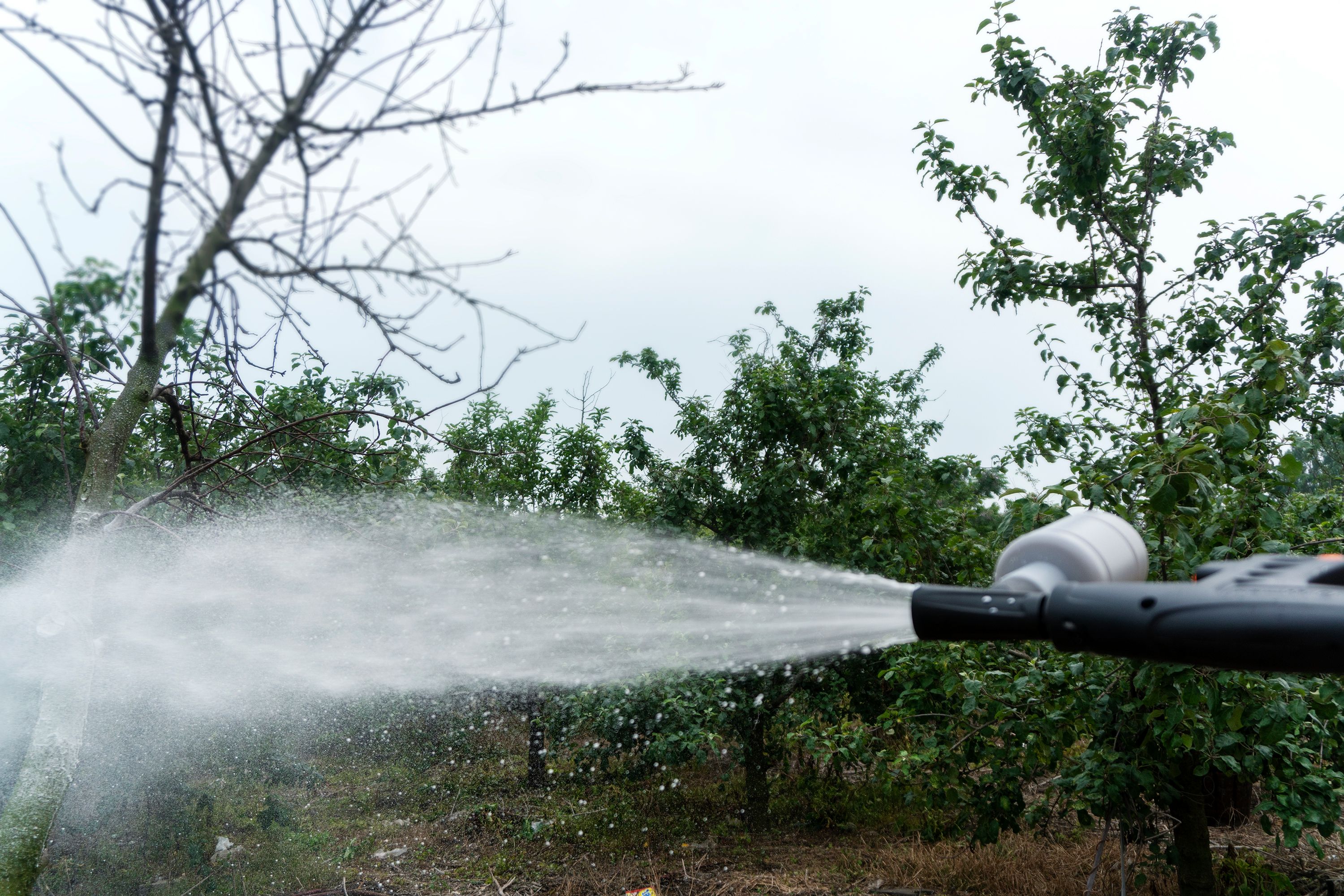 自助洗车步骤怎么洗才干净,绿田洗车机洗车步骤