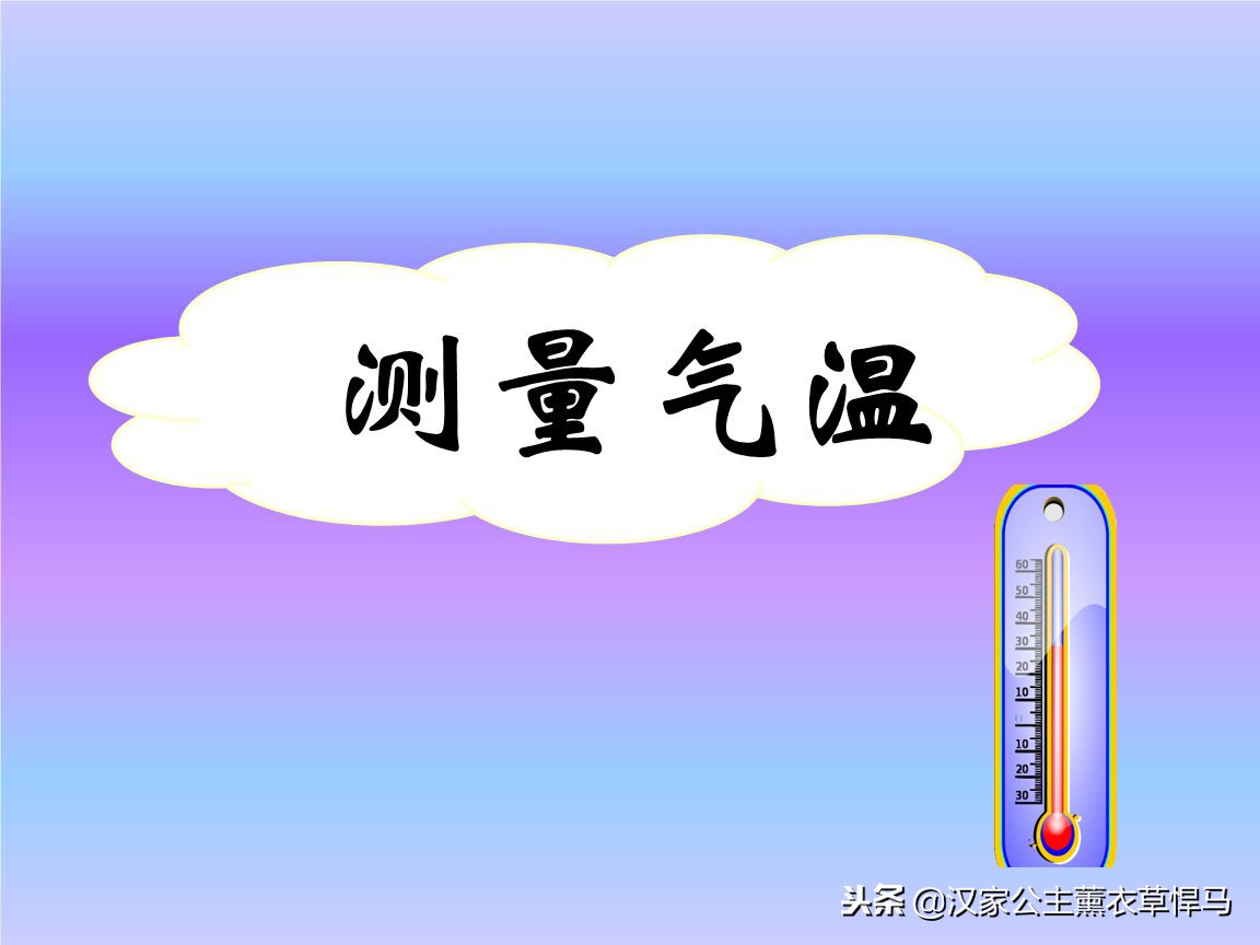 薰衣草一年生植物怎么养,衣草生长在什么季节最好养