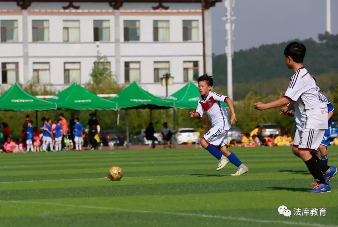 青少年足球联赛沈阳,2024沈阳市中小学足球联赛