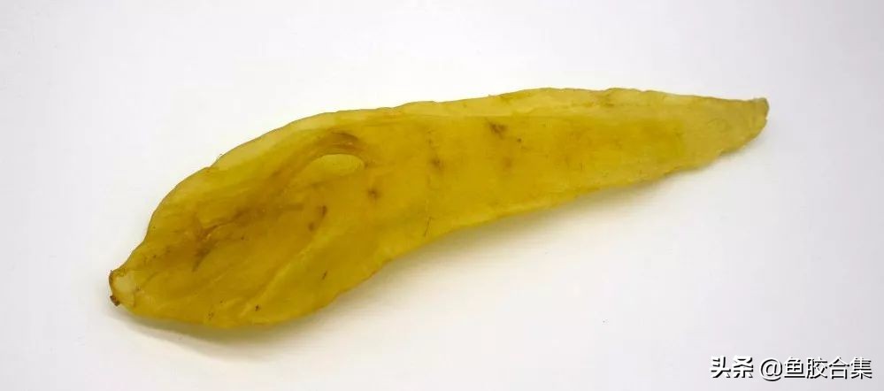 鱼鳔胶顶级,花胶鱼鳔图片