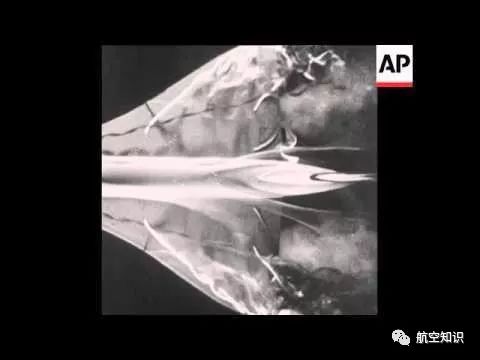 《天鹅之歌》,天鹅之歌主题歌