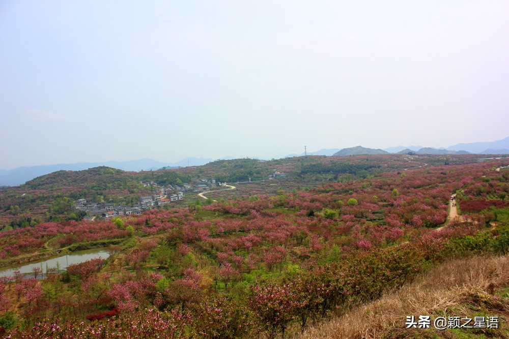 四明山十大观景台排名,四明山观景平台海拔