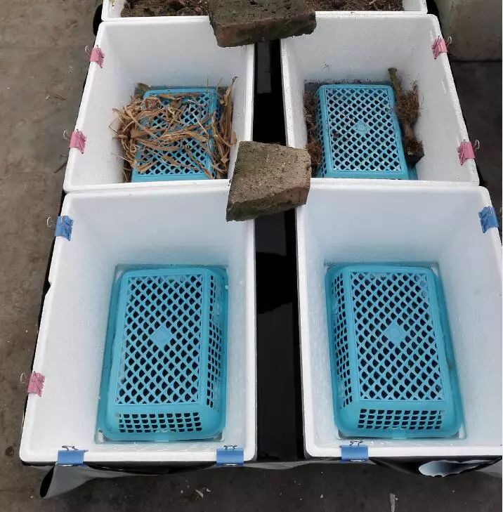 二培箱安装视频教程,池氏二培