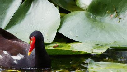閮戝窞椋為笩瀹跺洯鍥剧墖澶у叏,閮戝窞椋為笩瀹跺洯椋庢櫙