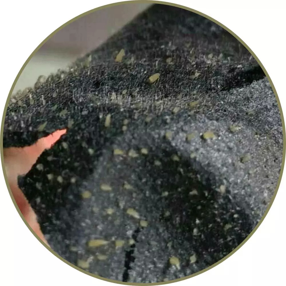 如何去黑头最有效方法,实测有效的去黑头方法