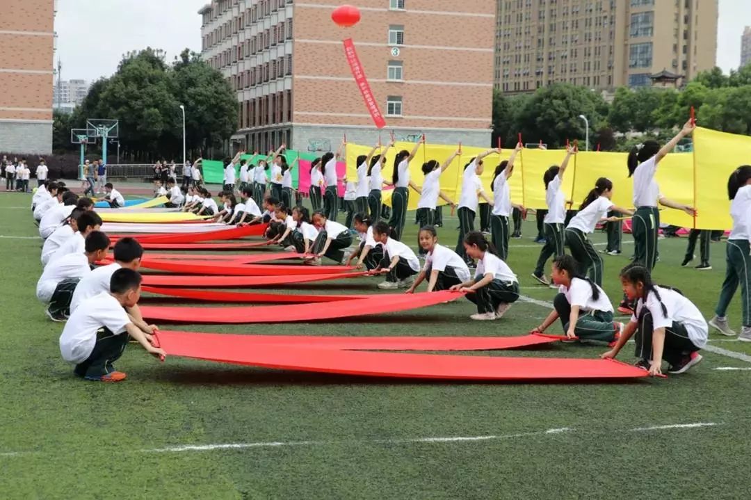 武汉最难进的12所学校,武汉最难进小学