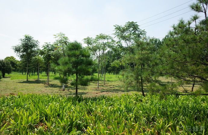 北京——那些让人流连忘返的免费公园