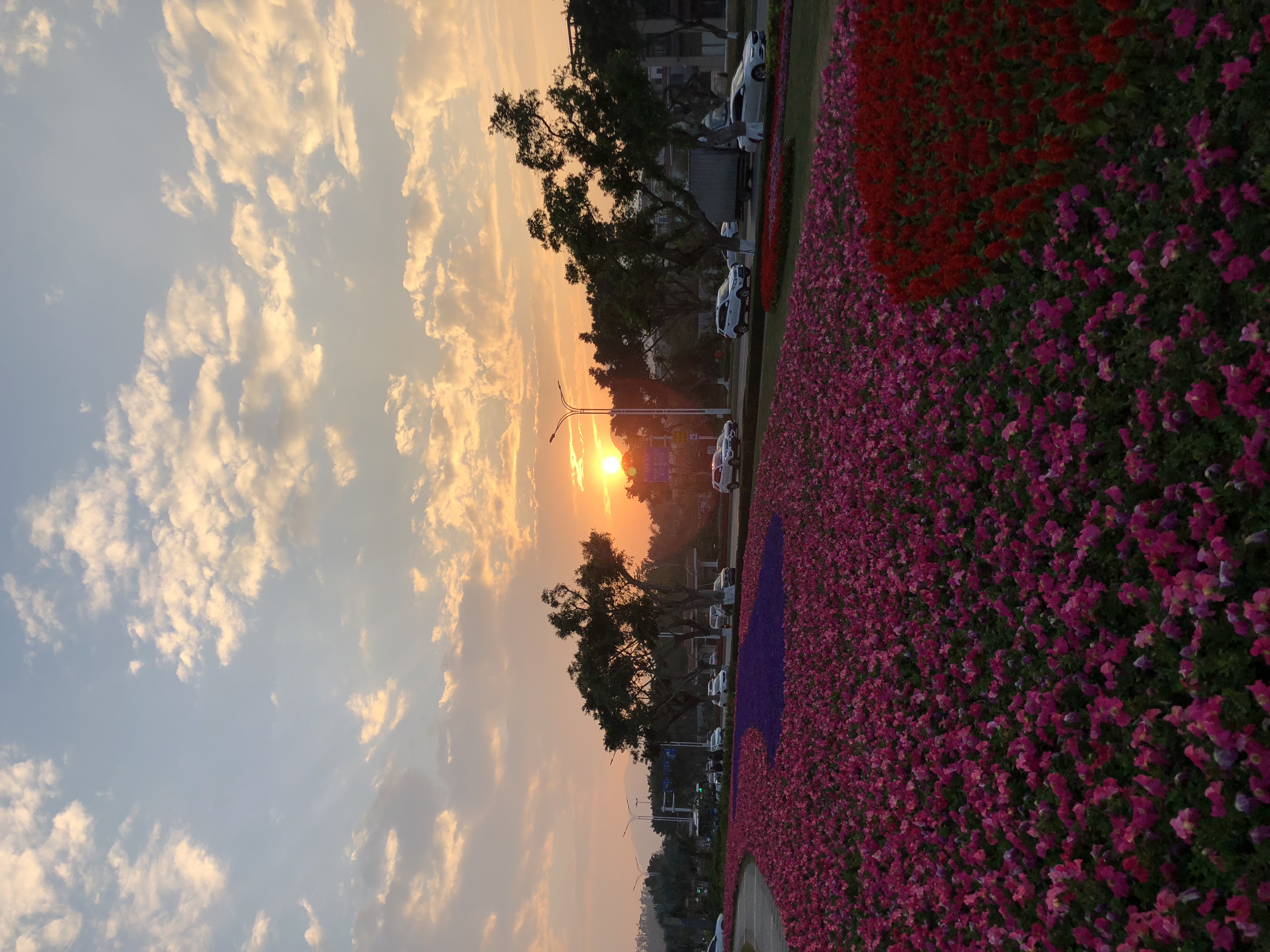 你眼中的珠海是什么样,外国眼中的珠海