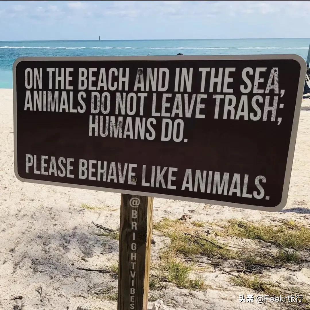 戒纸一年、减塑生活…这个95后女孩，用硬核环保方式火遍全网