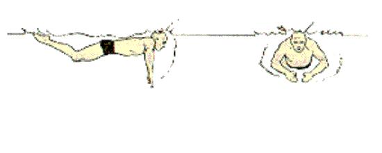 潜水口诀八个字,四种常见潜水方式口诀