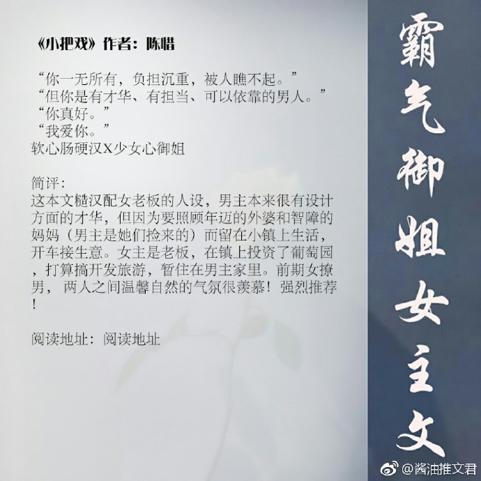 强推超好看言情,女主霸气御姐型的小说