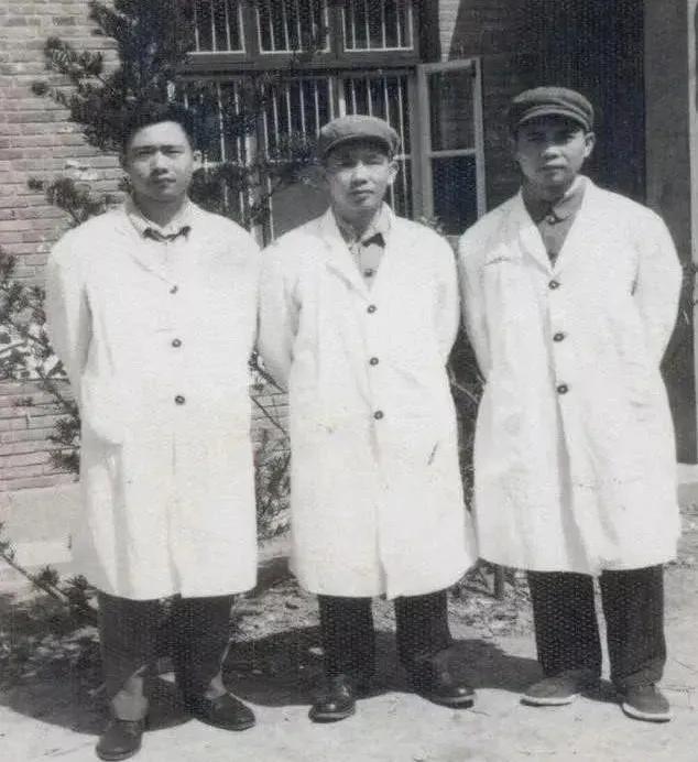 汤圆创始人50岁创业,卖汤圆年赚百万