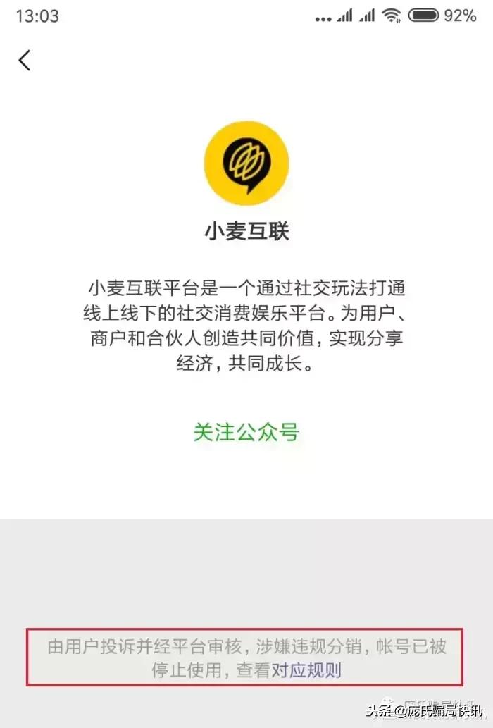 麦小贱是否是传销,麦小贱最新消息霸屏天下