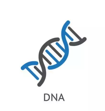 移动互联网的运作方式,移动互联网的重构