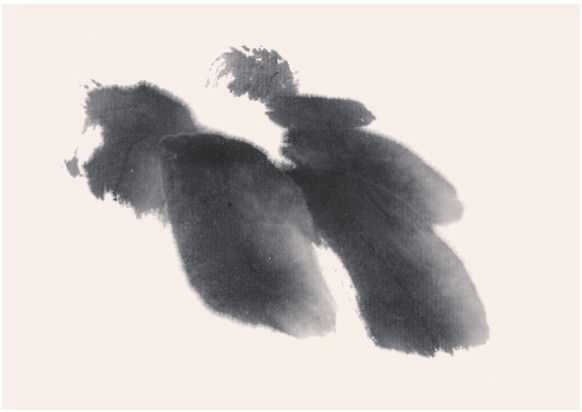 国画牡丹叶子的画法一窍不通,如何画牡丹花叶子和枝干国画视频