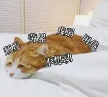 平板支撑一次做多久效果最好,平板支撑最好做多少分钟