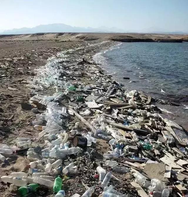 人类到底吃了多少塑料鱼？“深海勇士号”首次曝光海底巨型垃圾场