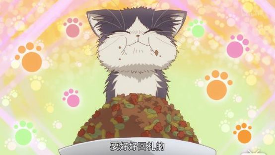 最萌新番,豆瓣8.8最佳纪录片女主