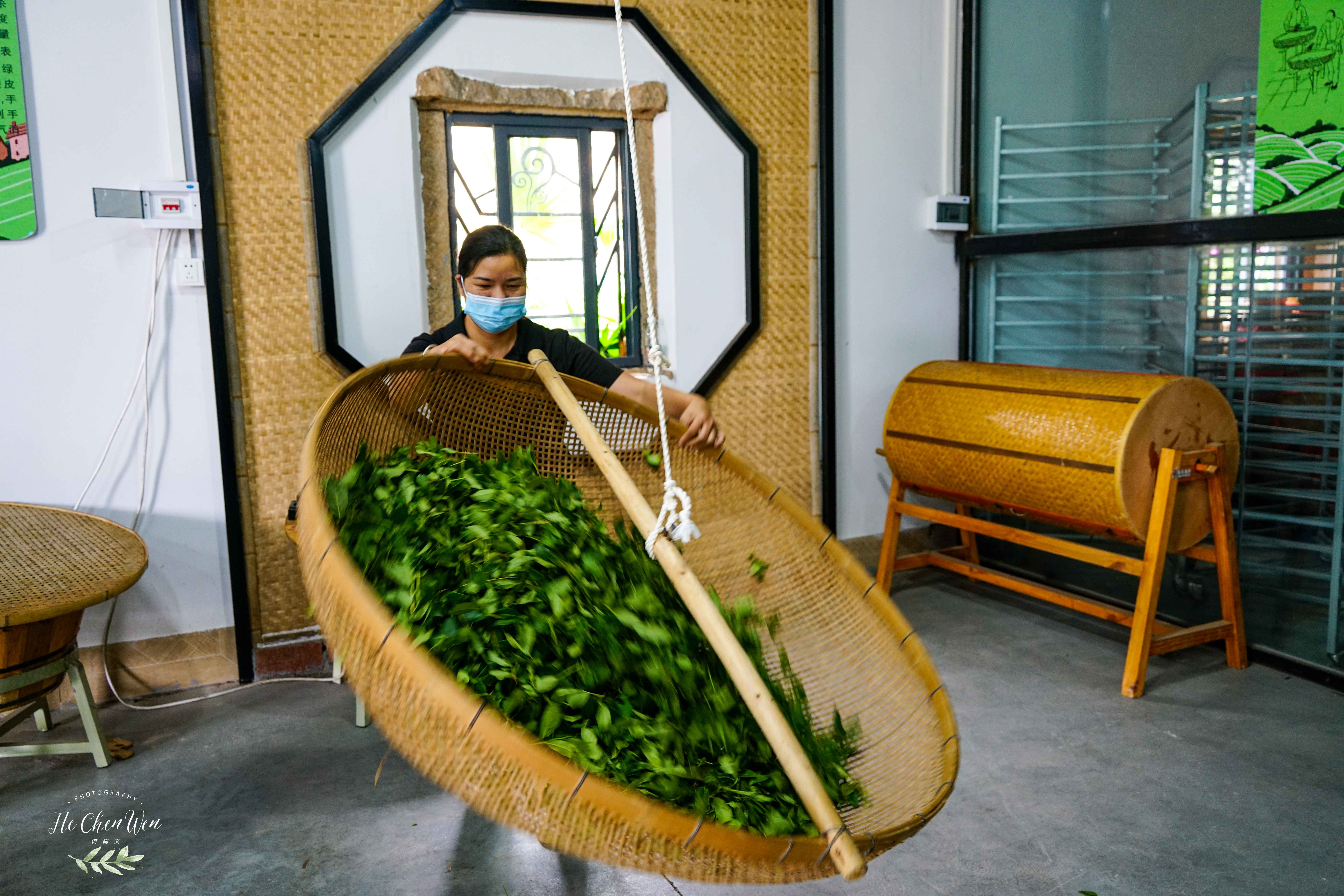 中国十大品牌铁观音茶叶,铁观音福建中国十大名茶