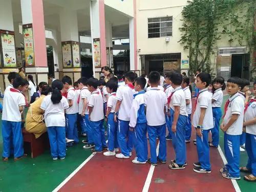 最美小学,海口优秀的小学