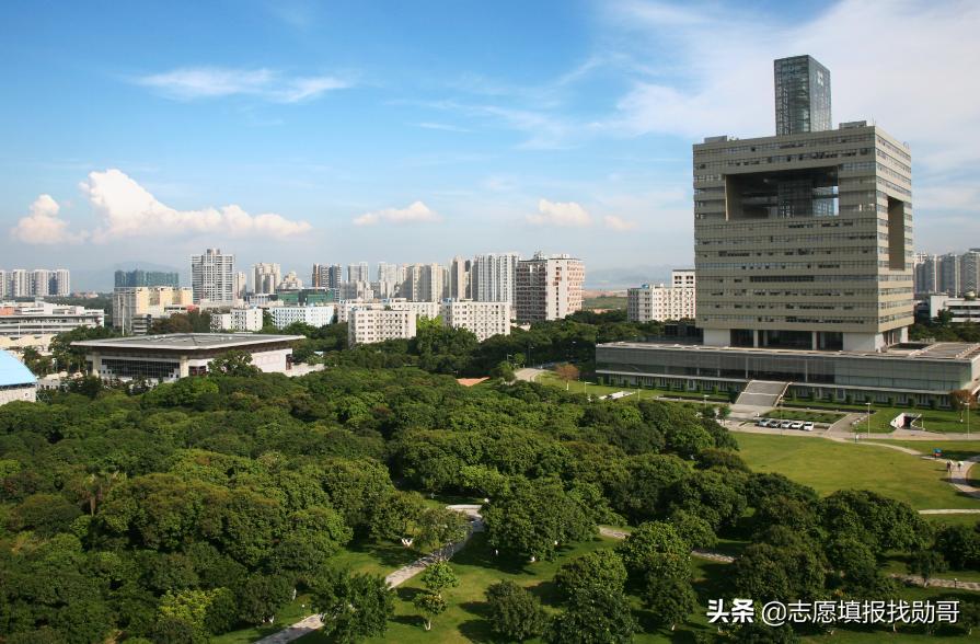 最好的大专深圳大学,深圳大学重点专科