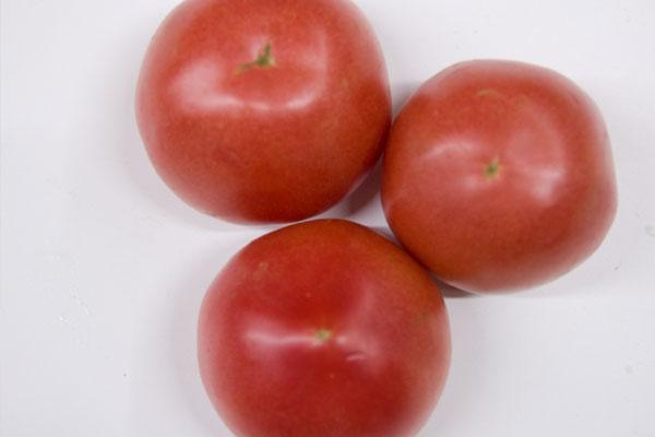 晚上吃苹果煮水能减肥还是会发胖,晚上十一点饿了吃西红柿会发胖吗