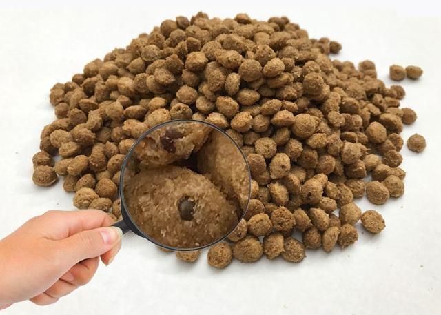 外面狗狗半夜叫个不停有什么预兆,狗狗一直叫不停怎么办