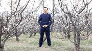 李洪渊中医,李洪渊