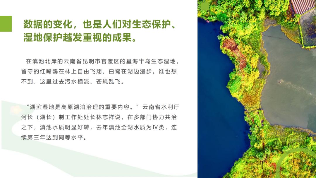 ppt文字太多怎么排版教学,ppt文字太多怎么排版