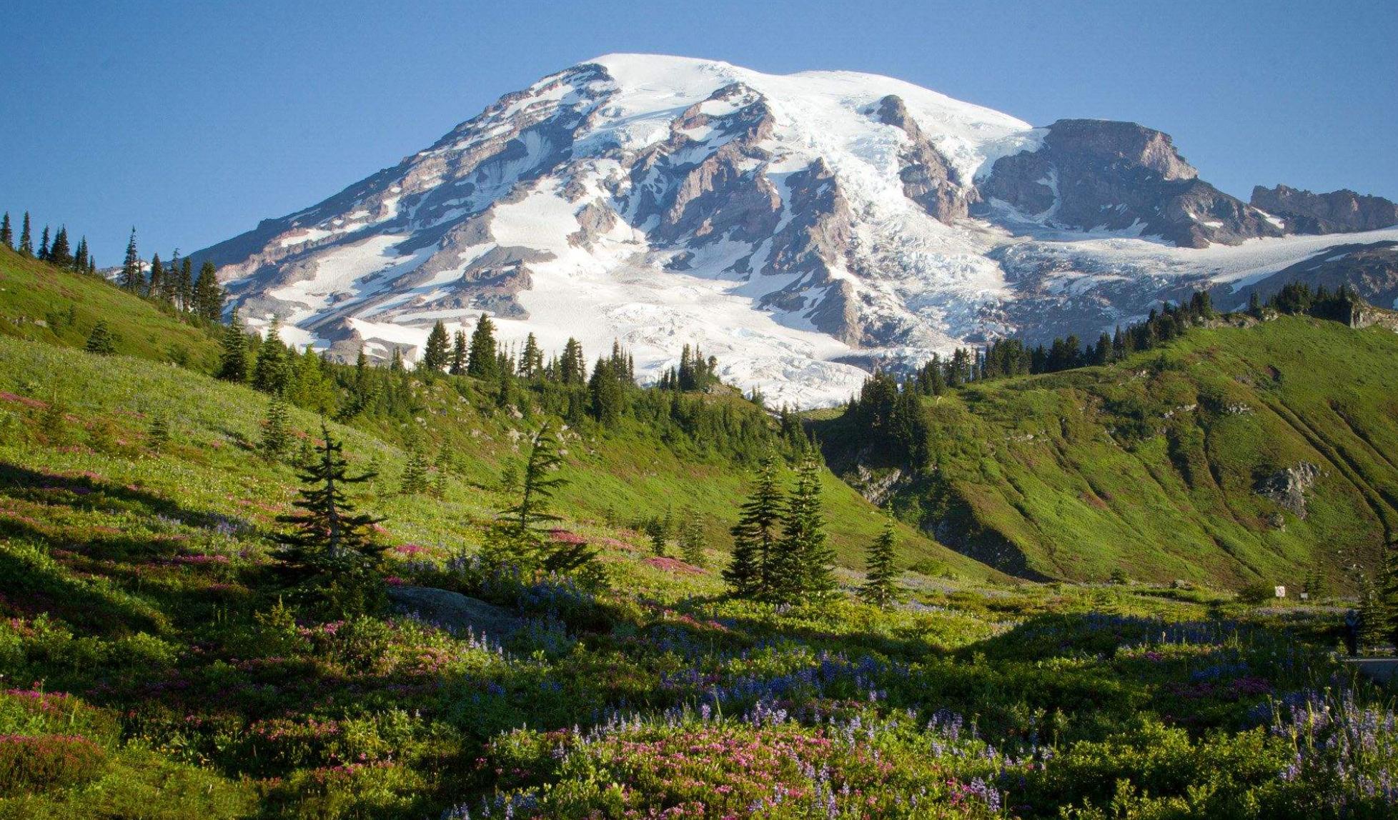 盘点奇葩美国车牌号,美国车牌为什么那么多图案